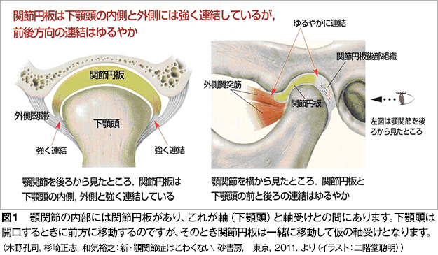 口腔外科なら本駒込 白山の歯科 歯医者 文京シティ歯科へ 親知らずの抜歯 顎関節症治療対応の本駒込 白山の歯科 歯医者